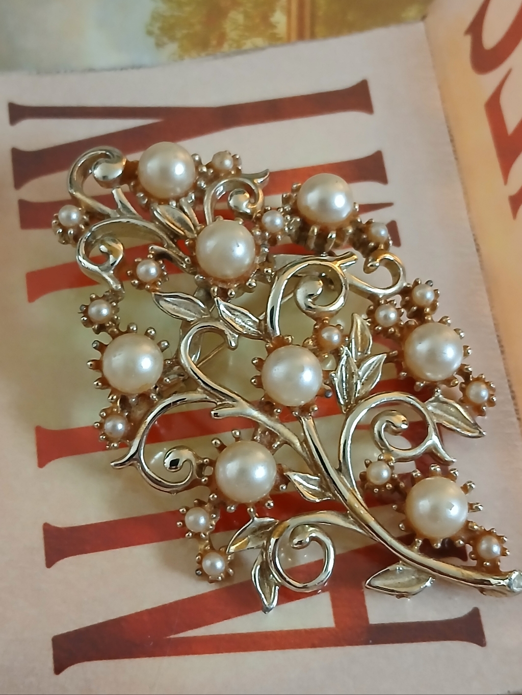 Vintage Brooch/Pin